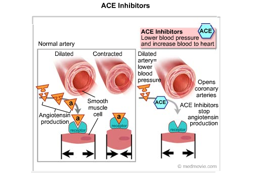 do ace inhibitors increase heart rate