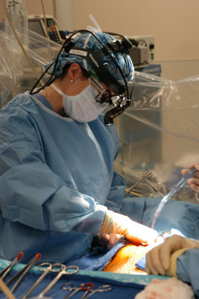 heart-surgeon