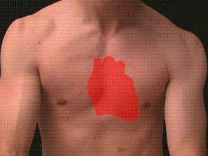 heartprojection