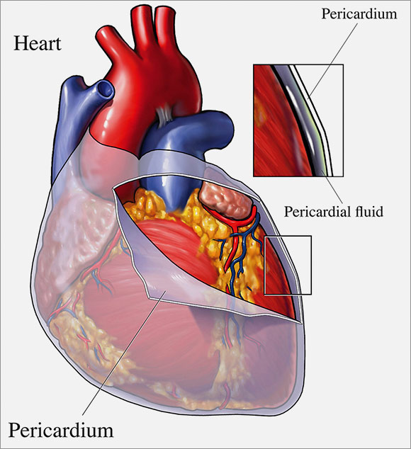 Water Around The Heart 104