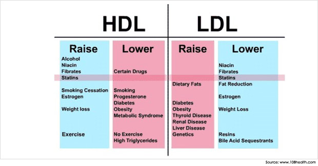 Hdl Ldl Chart